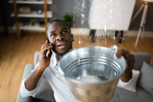 Best Water damage restoration company  in Corrigan, TX