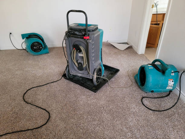 Best Emergency water damage restoration  in Corrigan, TX