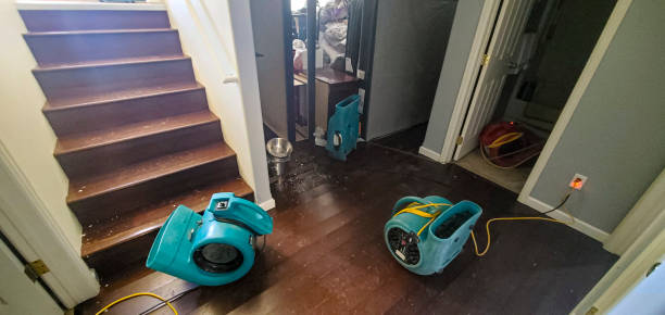 Best Sewage cleanup and water damage restoration  in Corrigan, TX