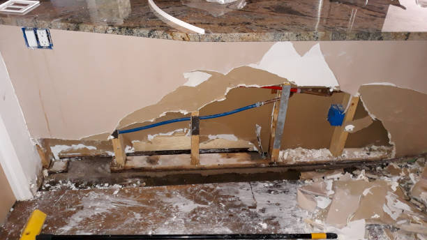 Best Professional water damage repair  in Corrigan, TX