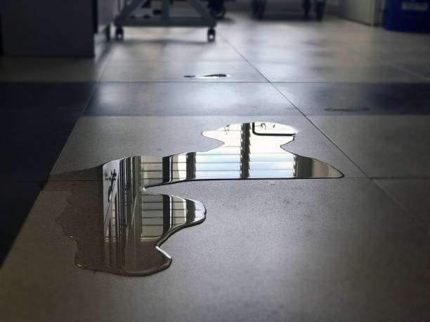 Best Water damage restoration near me  in Corrigan, TX