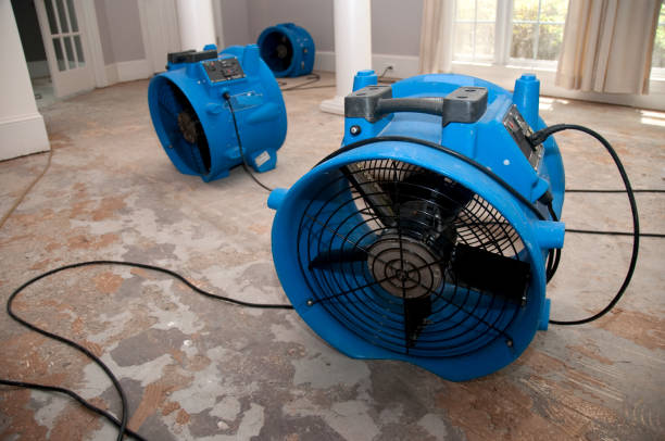 Best Water damage restoration near me  in Corrigan, TX