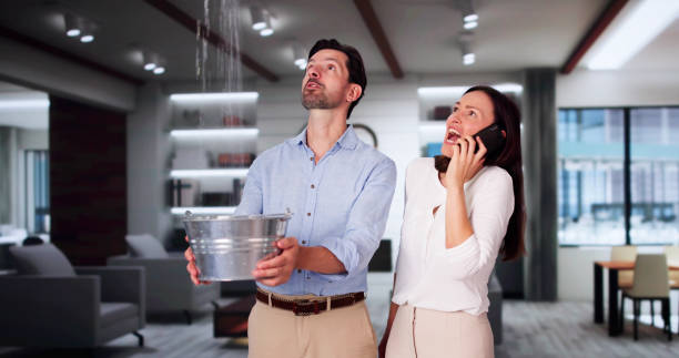 Best Flooded house restoration  in Corrigan, TX