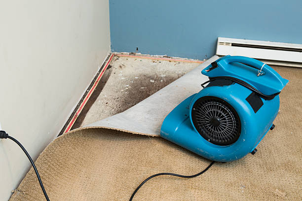 Best Commercial water damage restoration  in Corrigan, TX
